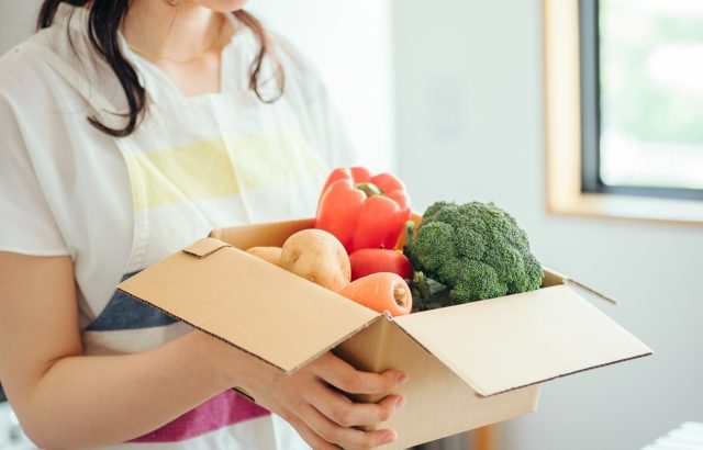 食材宅配って実際どうなの？利用歴5年の主婦がメリットデメリットを徹底解説