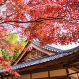 【京都といえばここ！】私がオススメする京都観光スポット６選