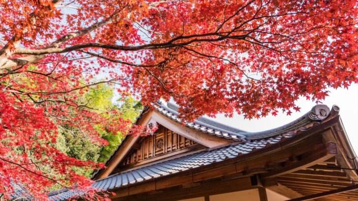 【京都といえばここ！】私がオススメする京都観光スポット６選