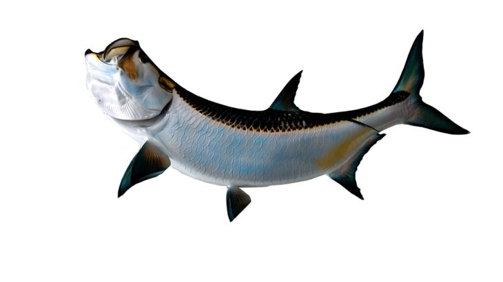 【初心者サーファーの壁？】サーフィンはもっとカジュアルでいい！！