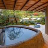 【失敗しない！】子連れ旅行ガイド＆箱根のおすすめ贅沢宿3選